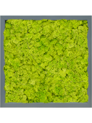 MDF RAL 7016 Satin Gloss 100% Reindeer (Moss spring green)