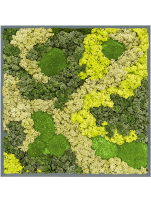 MDF RAL 7016 Satin Gloss 30% Ball moss 70% Reindeer moss (Mix)