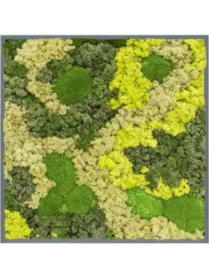 MDF RAL 7016 Satin Gloss 30% Ball moss 70% Reindeer moss (Mix)