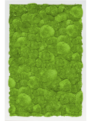 MDF RAL 9010 Satin Gloss 100% Ball Moss