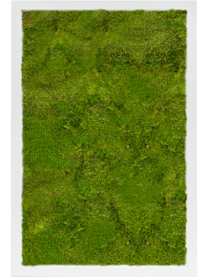 MDF RAL 9010 Satin Gloss 100% Flat Moss