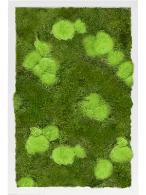 MDF RAL 9010 Satin Gloss 30% Ball- And 70% Flat Moss