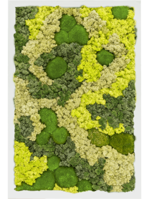 MDF RAL 9010 Satin Gloss 30% Ball moss 70% Reindeer moss (Mix)