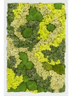 MDF RAL 9010 Satin Gloss 30% Ball moss 70% Reindeer moss (Mix)