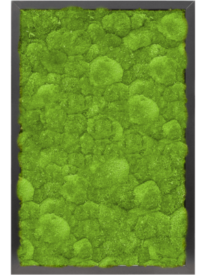 MDF RAL 9005 Satin Gloss 100% Ball moss