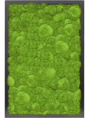 MDF RAL 9005 Satin Gloss 100% Ball moss