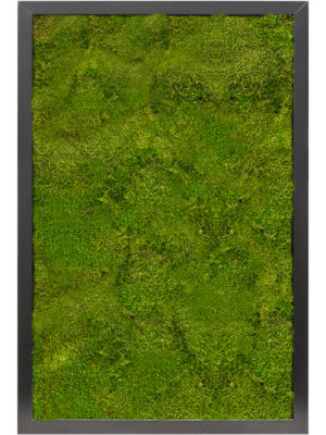 MDF RAL 9005 Satin Gloss 100% Flat moss