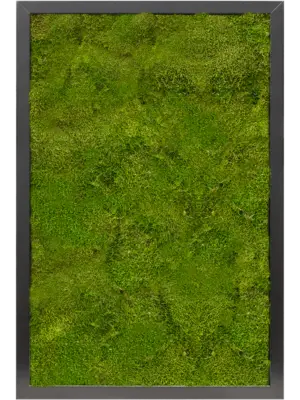 MDF RAL 9005 Satin Gloss 100% Flat moss