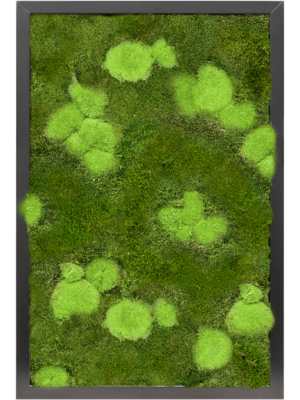 MDF RAL 9005 Satin Gloss 30% Ball- and 70% Flat moss