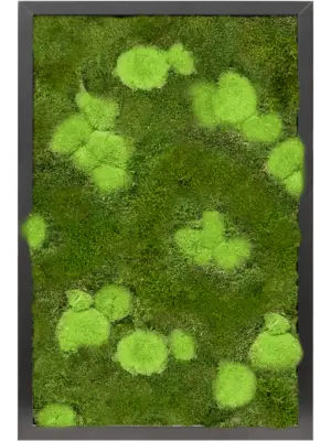 MDF RAL 9005 Satin Gloss 30% Ball- and 70% Flat moss