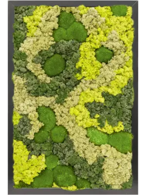 MDF RAL 9005 Satin Gloss 30% Ball moss 70% Reindeer moss (Mix)