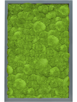 MDF RAL 7016 Satin Gloss 100% Ball Moss