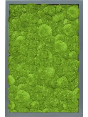 MDF RAL 7016 Satin Gloss 100% Ball Moss