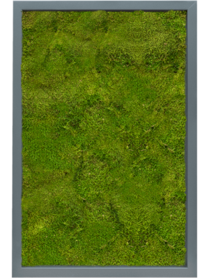 MDF RAL 7016 Satin Gloss 100% Flat Moss