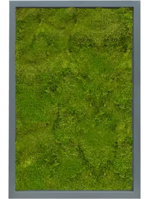 MDF RAL 7016 Satin Gloss 100% Flat Moss