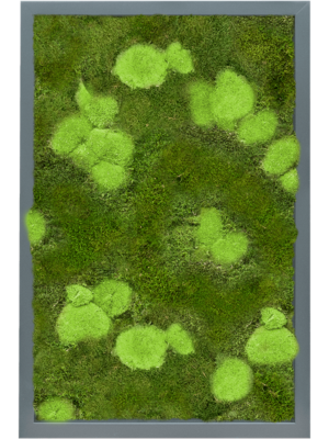 MDF RAL 7016 Satin Gloss 30% Ball- And 70% Flat Moss