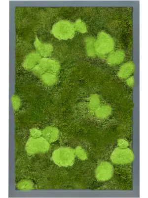 MDF RAL 7016 Satin Gloss 30% Ball- And 70% Flat Moss