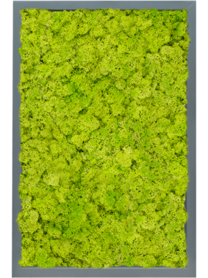 MDF RAL 7016 Satin Gloss 100% Reindeer Moss (Spring green)