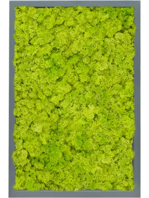 MDF RAL 7016 Satin Gloss 100% Reindeer Moss (Spring green)