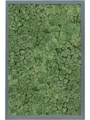 MDF RAL 7016 Satin Gloss 100% Reindeer Moss (Moss green)