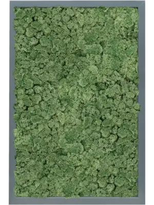 MDF RAL 7016 Satin Gloss 100% Reindeer Moss (Moss green)