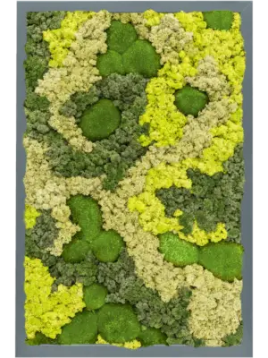 MDF RAL 7016 Satin Gloss 30% Ball moss 70% Reindeer moss (Mix)