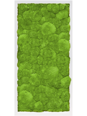 MDF RAL 9010 Satin Gloss 100% Ball Moss