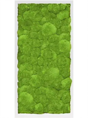 MDF RAL 9010 Satin Gloss 100% Ball Moss