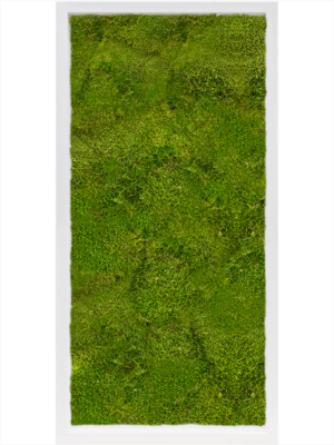 MDF RAL 9010 Satin Gloss 100% Flat Moss
