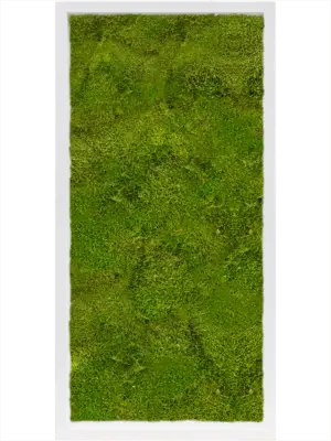 MDF RAL 9010 Satin Gloss 100% Flat Moss