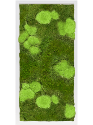 MDF RAL 9010 Satin Gloss 30% Ball- And 70% Flat Moss