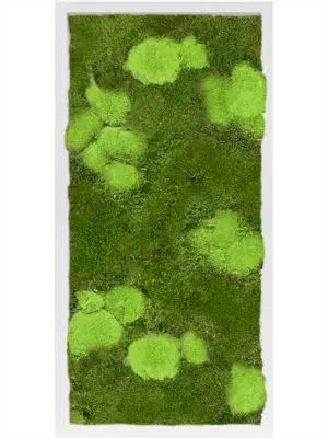 MDF RAL 9010 Satin Gloss 30% Ball- And 70% Flat Moss