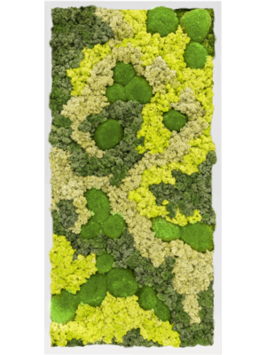 MDF RAL 9010 Satin Gloss 30% Ball moss 70% Reindeer moss (Mix)
