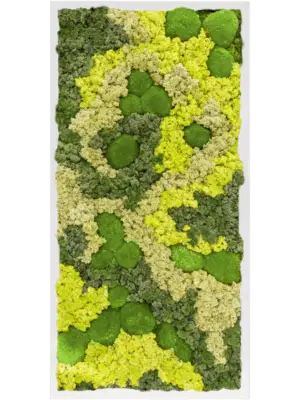 MDF RAL 9010 Satin Gloss 30% Ball moss 70% Reindeer moss (Mix)