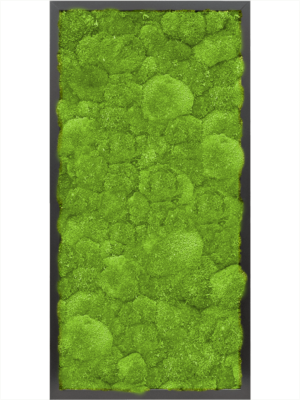 MDF RAL 9005 Satin Gloss 100% Ball moss
