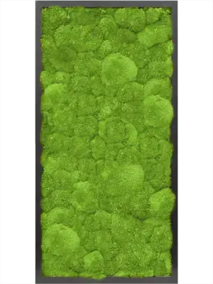 MDF RAL 9005 Satin Gloss 100% Ball moss