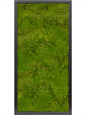 MDF RAL 9005 Satin Gloss 100% Flat moss