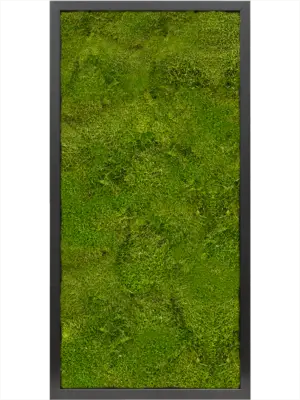 MDF RAL 9005 Satin Gloss 100% Flat moss