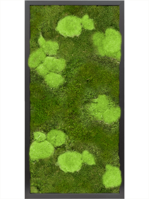 MDF RAL 9005 Satin Gloss 30% Ball- and 70% Flat moss