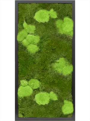 MDF RAL 9005 Satin Gloss 30% Ball- and 70% Flat moss