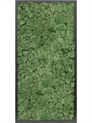 MDF RAL 9005 Satin Gloss 100% Reindeer moss (Moss green)