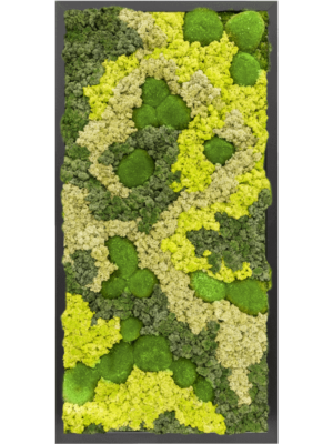 MDF RAL 9005 Satin Gloss 30% Ball moss 70% Reindeer moss (Mix)