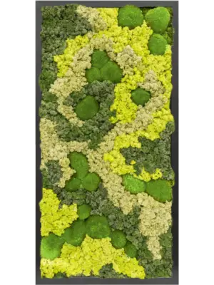 MDF RAL 9005 Satin Gloss 30% Ball moss 70% Reindeer moss (Mix)