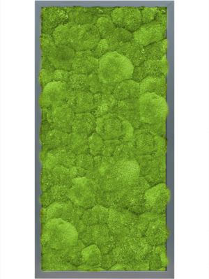 MDF RAL 7016 Satin Gloss 100% Ball Moss