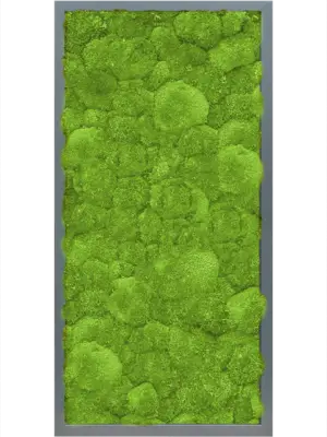 MDF RAL 7016 Satin Gloss 100% Ball Moss