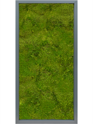 MDF RAL 7016 Satin Gloss 100% Flat Moss