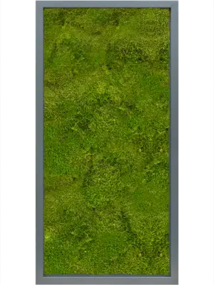 MDF RAL 7016 Satin Gloss 100% Flat Moss