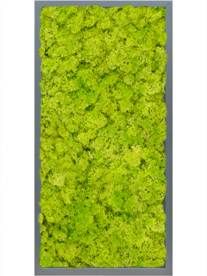 MDF RAL 7016 Satin Gloss 100% Reindeer Moss (Spring green)