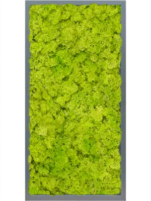MDF RAL 7016 Satin Gloss 100% Reindeer Moss (Spring green)