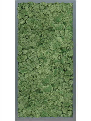 MDF RAL 7016 Satin Gloss 100% Reindeer Moss (Moss green)